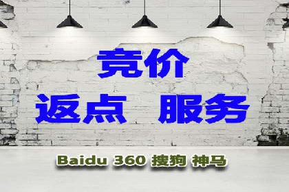 网络营销实战：成功竞价推广案例分析