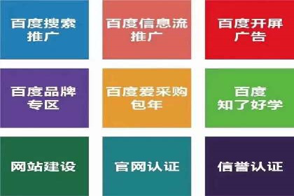 SEM服务案例：助力企业拓展海外市场